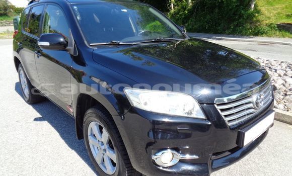 Acheter Occasion Voiture Toyota RAV4 Noir à Koumac, Nord Acheter Occasion Voiture Toyota RAV4 Noir à Koumac, Nord