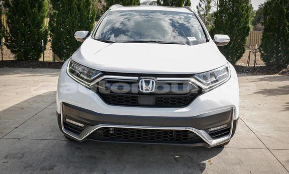 Acheter Occasion Voiture Honda CR–V Blanc à Noumea, Sud Acheter Occasion Voiture Honda CR–V Blanc à Noumea, Sud