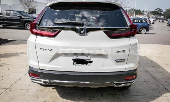 Acheter Occasion Voiture Honda CR–V Blanc à Noumea, Sud Acheter Occasion Voiture Honda CR–V Blanc à Noumea, Sud