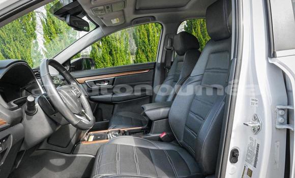 Acheter Occasion Voiture Honda CR–V Blanc à Noumea, Sud Acheter Occasion Voiture Honda CR–V Blanc à Noumea, Sud