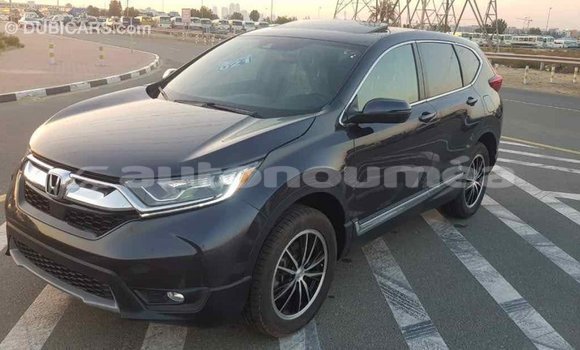 Acheter Import Moto Honda C Autre à Import - Dubai, Iles Acheter Import Moto Honda C Autre à Import - Dubai, Iles