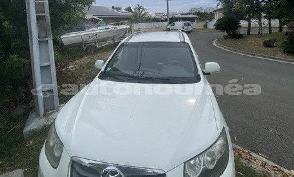 Buy Used Hyundai Santa Fe White Car in Noumea in Sud