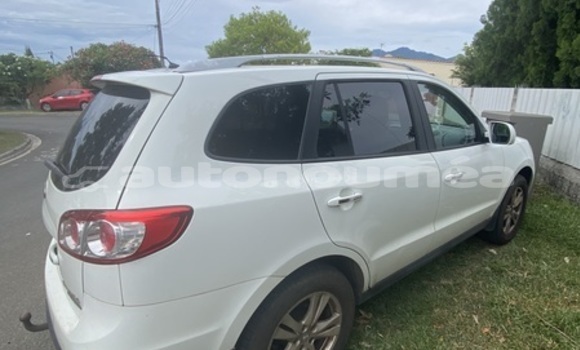 Acheter Occasion Voiture Hyundai Santa Fe Blanc à Noumea, Sud Acheter Occasion Voiture Hyundai Santa Fe Blanc à Noumea, Sud