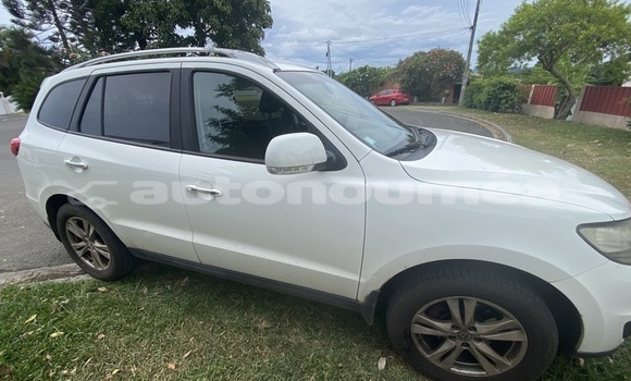 Acheter Occasion Voiture Hyundai Santa Fe Blanc à Noumea, Sud Acheter Occasion Voiture Hyundai Santa Fe Blanc à Noumea, Sud