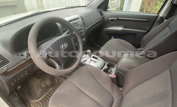 Acheter Occasion Voiture Hyundai Santa Fe Blanc à Noumea, Sud Acheter Occasion Voiture Hyundai Santa Fe Blanc à Noumea, Sud