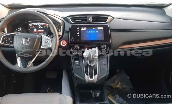 Acheter Import Moto Honda C Autre à Import - Dubai, Iles Acheter Import Moto Honda C Autre à Import - Dubai, Iles