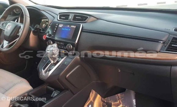 Acheter Import Moto Honda C Autre à Import - Dubai, Iles Acheter Import Moto Honda C Autre à Import - Dubai, Iles