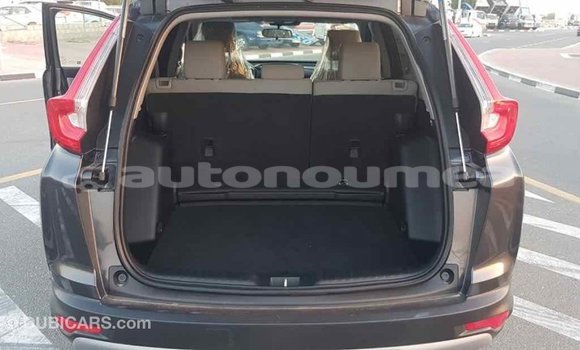 Acheter Import Moto Honda C Autre à Import - Dubai, Iles Acheter Import Moto Honda C Autre à Import - Dubai, Iles