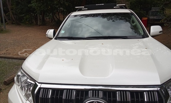 Acheter Occasion Voiture Toyota Prado Blanc à Noumea, Sud