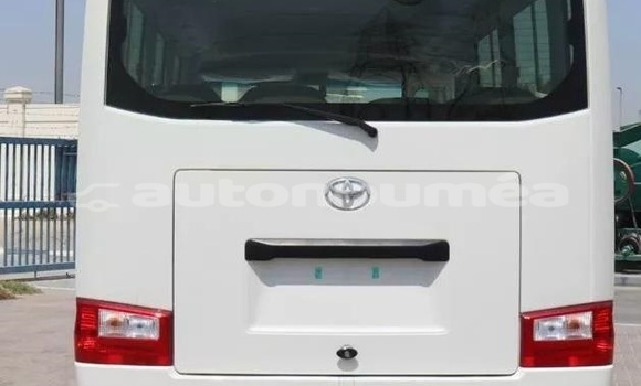 Buy Used Toyota Coaster White Car in Noumea in Sud Buy Used Toyota Coaster White Car in Noumea in Sud