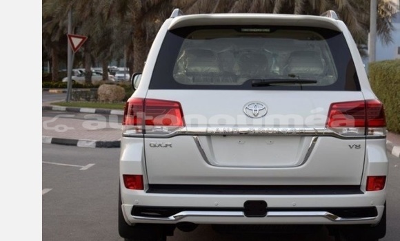 Acheter Occasion Voiture Toyota Land Cruiser Blanc à Noumea, Sud
