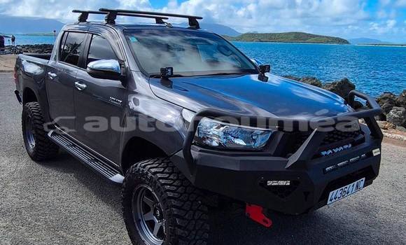 Acheter Occasion Voiture Toyota Hilux Gris à Noumea, Sud