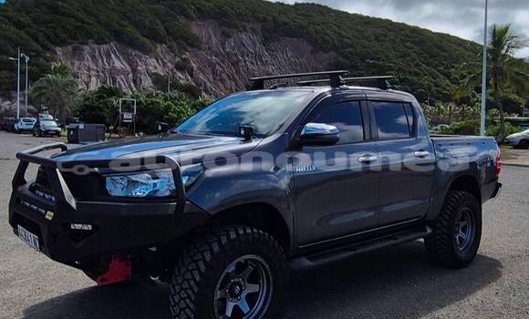 Acheter Occasion Voiture Toyota Hilux Gris à Noumea, Sud Acheter Occasion Voiture Toyota Hilux Gris à Noumea, Sud