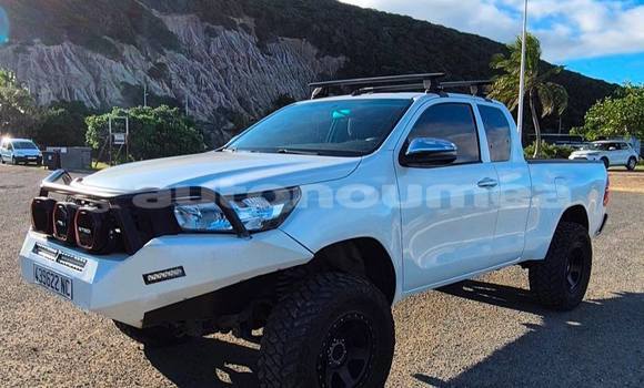 Acheter Occasion Voiture Toyota Hilux Blanc à Noumea, Sud Acheter Occasion Voiture Toyota Hilux Blanc à Noumea, Sud