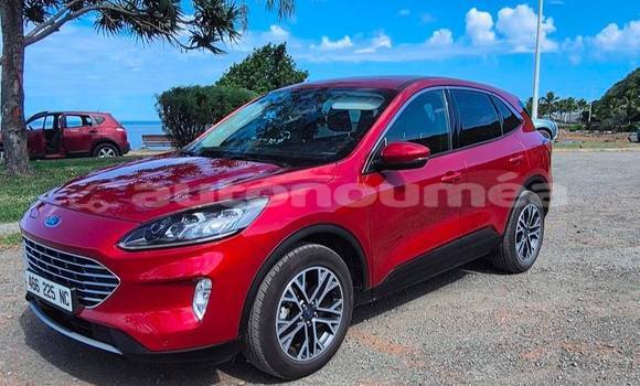 Buy Used Ford Kuga Red Car in Noumea in Sud Buy Used Ford Kuga Red Car in Noumea in Sud