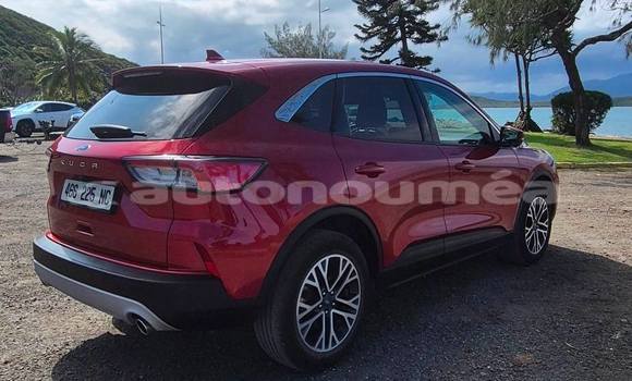 Buy Used Ford Kuga Red Car in Noumea in Sud Buy Used Ford Kuga Red Car in Noumea in Sud