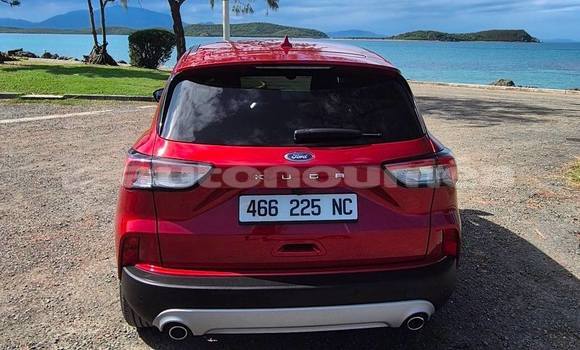 Buy Used Ford Kuga Red Car in Noumea in Sud Buy Used Ford Kuga Red Car in Noumea in Sud