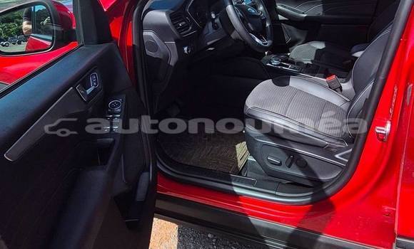 Buy Used Ford Kuga Red Car in Noumea in Sud Buy Used Ford Kuga Red Car in Noumea in Sud
