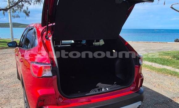 Buy Used Ford Kuga Red Car in Noumea in Sud Buy Used Ford Kuga Red Car in Noumea in Sud