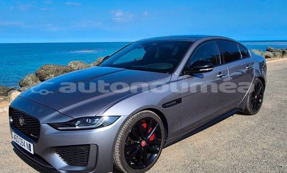 Acheter Occasion Voiture Jaguar XE Gris à Noumea, Sud