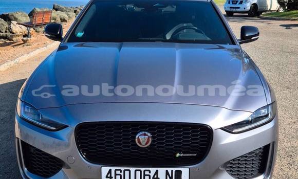 Acheter Occasion Voiture Jaguar XE Gris à Noumea, Sud Acheter Occasion Voiture Jaguar XE Gris à Noumea, Sud