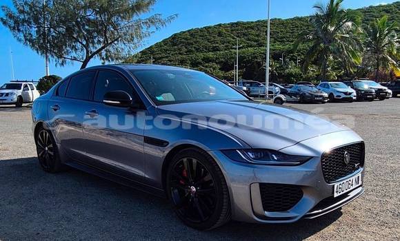 Acheter Occasion Voiture Jaguar XE Gris à Noumea, Sud Acheter Occasion Voiture Jaguar XE Gris à Noumea, Sud