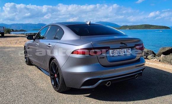Acheter Occasion Voiture Jaguar XE Gris à Noumea, Sud Acheter Occasion Voiture Jaguar XE Gris à Noumea, Sud