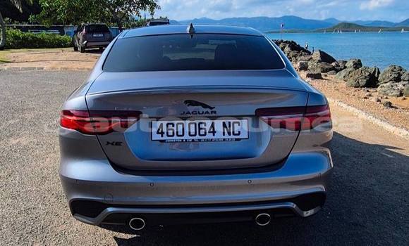 Acheter Occasion Voiture Jaguar XE Gris à Noumea, Sud Acheter Occasion Voiture Jaguar XE Gris à Noumea, Sud