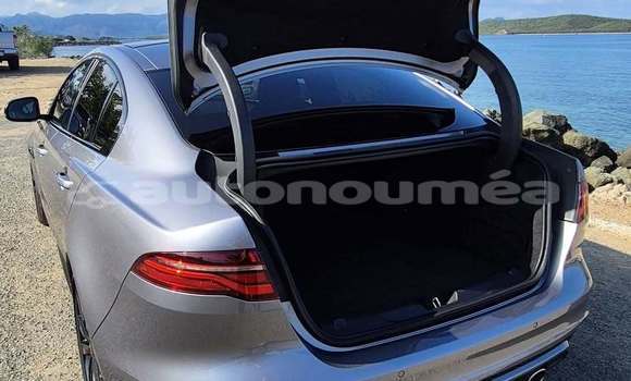 Acheter Occasion Voiture Jaguar XE Gris à Noumea, Sud Acheter Occasion Voiture Jaguar XE Gris à Noumea, Sud