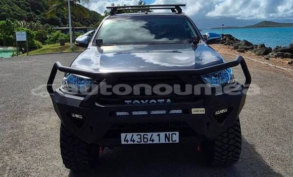 Acheter Occasion Voiture Toyota Hilux Gris à Noumea, Sud Acheter Occasion Voiture Toyota Hilux Gris à Noumea, Sud