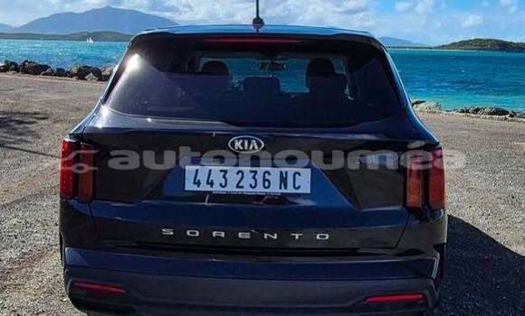 Acheter Occasion Voiture Kia Sorrento Noir à Noumea, Sud Acheter Occasion Voiture Kia Sorrento Noir à Noumea, Sud
