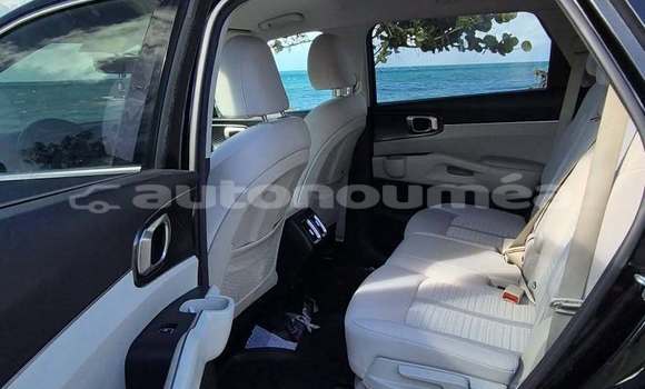Acheter Occasion Voiture Kia Sorrento Noir à Noumea, Sud Acheter Occasion Voiture Kia Sorrento Noir à Noumea, Sud