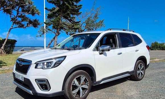 Acheter Occasion Voiture Subaru Forrester Blanc à Noumea, Sud