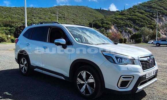 Acheter Occasion Voiture Subaru Forrester Blanc à Noumea, Sud Acheter Occasion Voiture Subaru Forrester Blanc à Noumea, Sud