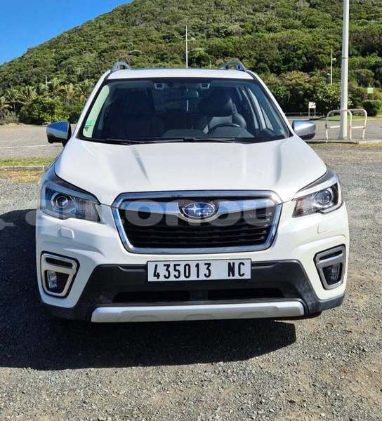 Big with watermark subaru forrester sud noumea 5081