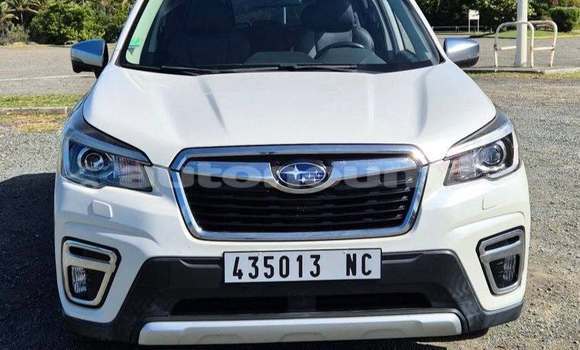 Acheter Occasion Voiture Subaru Forrester Blanc à Noumea, Sud Acheter Occasion Voiture Subaru Forrester Blanc à Noumea, Sud