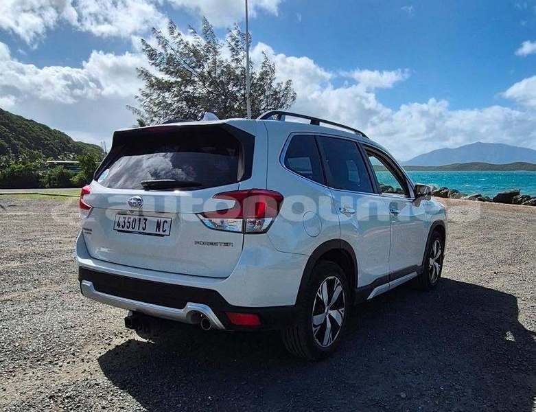 Big with watermark subaru forrester sud noumea 5081