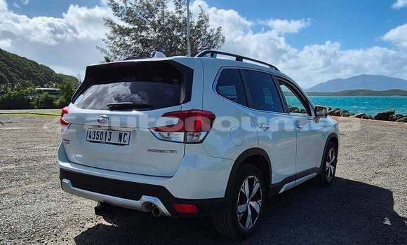 Acheter Occasion Voiture Subaru Forrester Blanc à Noumea, Sud Acheter Occasion Voiture Subaru Forrester Blanc à Noumea, Sud