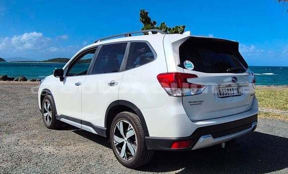 Acheter Occasion Voiture Subaru Forrester Blanc à Noumea, Sud Acheter Occasion Voiture Subaru Forrester Blanc à Noumea, Sud