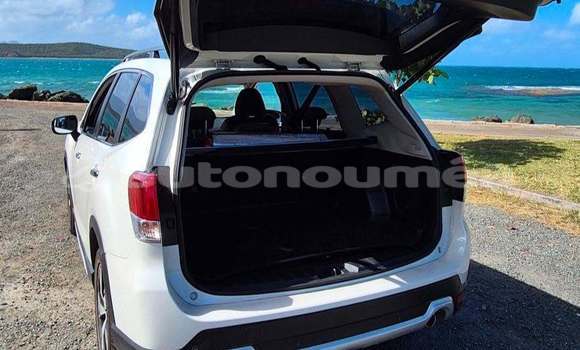 Acheter Occasion Voiture Subaru Forrester Blanc à Noumea, Sud Acheter Occasion Voiture Subaru Forrester Blanc à Noumea, Sud