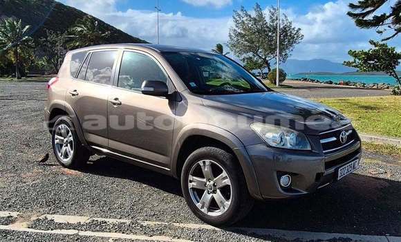 Acheter Occasion Voiture Toyota RAV4 Marron à Noumea, Sud Acheter Occasion Voiture Toyota RAV4 Marron à Noumea, Sud