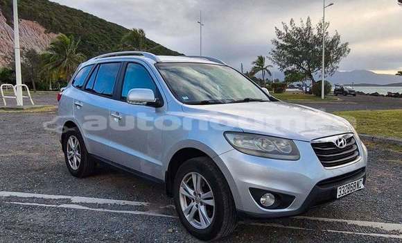 Acheter Occasion Voiture Hyundai Santa Fe Gris à Noumea, Sud