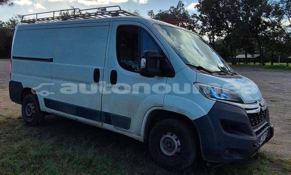 Buy Used Citroen Jumper White Truck in Noumea in Sud Buy Used Citroen Jumper White Truck in Noumea in Sud