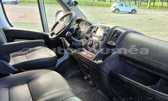 Buy Used Citroen Jumper White Truck in Noumea in Sud Buy Used Citroen Jumper White Truck in Noumea in Sud