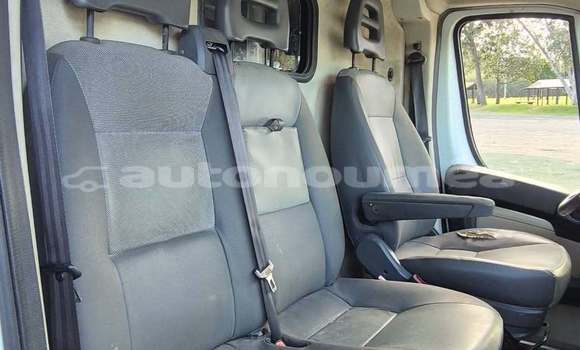 Buy Used Citroen Jumper White Truck in Noumea in Sud Buy Used Citroen Jumper White Truck in Noumea in Sud