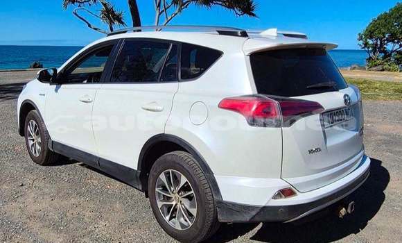Acheter Occasion Voiture Toyota RAV4 Blanc à Noumea, Sud Acheter Occasion Voiture Toyota RAV4 Blanc à Noumea, Sud