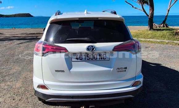 Acheter Occasion Voiture Toyota RAV4 Blanc à Noumea, Sud Acheter Occasion Voiture Toyota RAV4 Blanc à Noumea, Sud