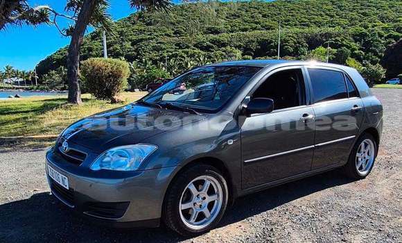 Acheter Occasion Voiture Toyota Corolla Gris à Noumea, Sud