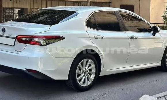 Acheter Occasion Voiture Toyota Camry Blanc à Noumea, Sud Acheter Occasion Voiture Toyota Camry Blanc à Noumea, Sud