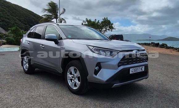 Acheter Occasion Voiture Toyota RAV4 Gris à Noumea, Sud
